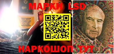 индика Вышний Волочёк