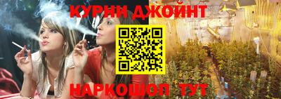 индика Вышний Волочёк