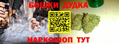 индика Вышний Волочёк