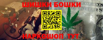 индика Вышний Волочёк